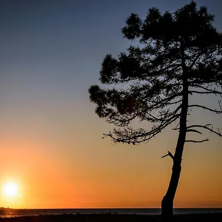 Casa Do Caseiro Holiday home